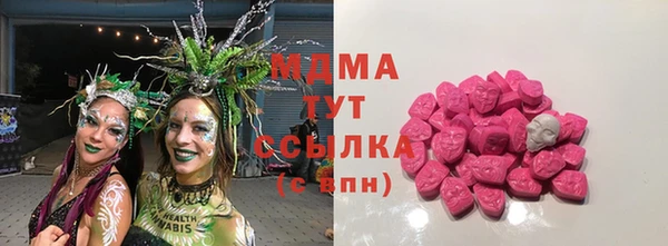 прущие грибы Белокуриха