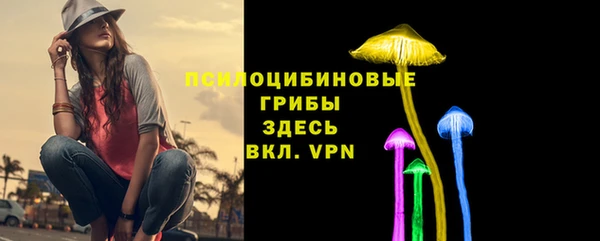молекула духа Балахна