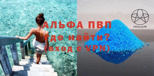 прущие грибы Белокуриха