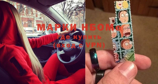 прущие грибы Белокуриха