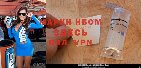 прущие грибы Белокуриха