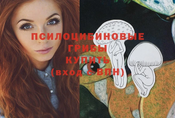 прущие грибы Белокуриха